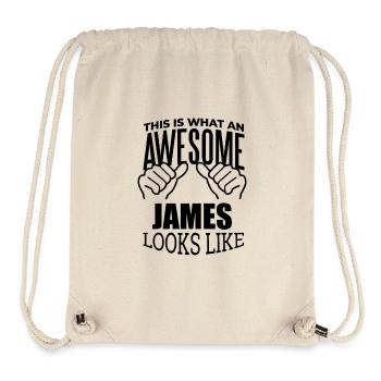 James - Stanley/Stella Recycled Gym Bag - natural - Front