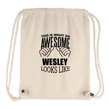 Wesley - Stanley/Stella Recycled Gym Bag - natural - Front