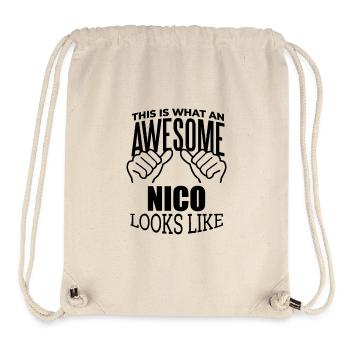 Nico - Stanley/Stella Recycled Gym Bag - natural - Front