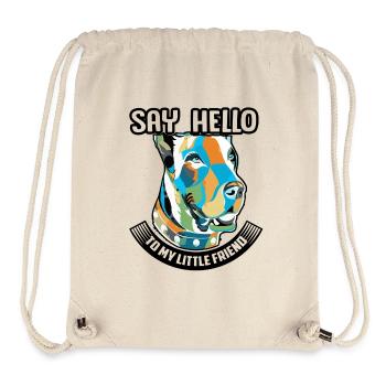 Say Hello To My Little Friend Great Dane - Stanley/Stella Recycled Gym Bag - natural - Front