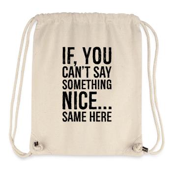 if you can't say something nice same here - Stanley/Stella Recycled Gym Bag - natural - Front