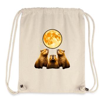 Capybara Capybara Moonlight Trio - Stanley/Stella Recycled Gym Bag - natural - Front