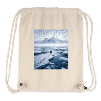 But Why Penguin Meme Existential Sad Humor Mood - Stanley/Stella Recycled Gym Bag - natural - Front