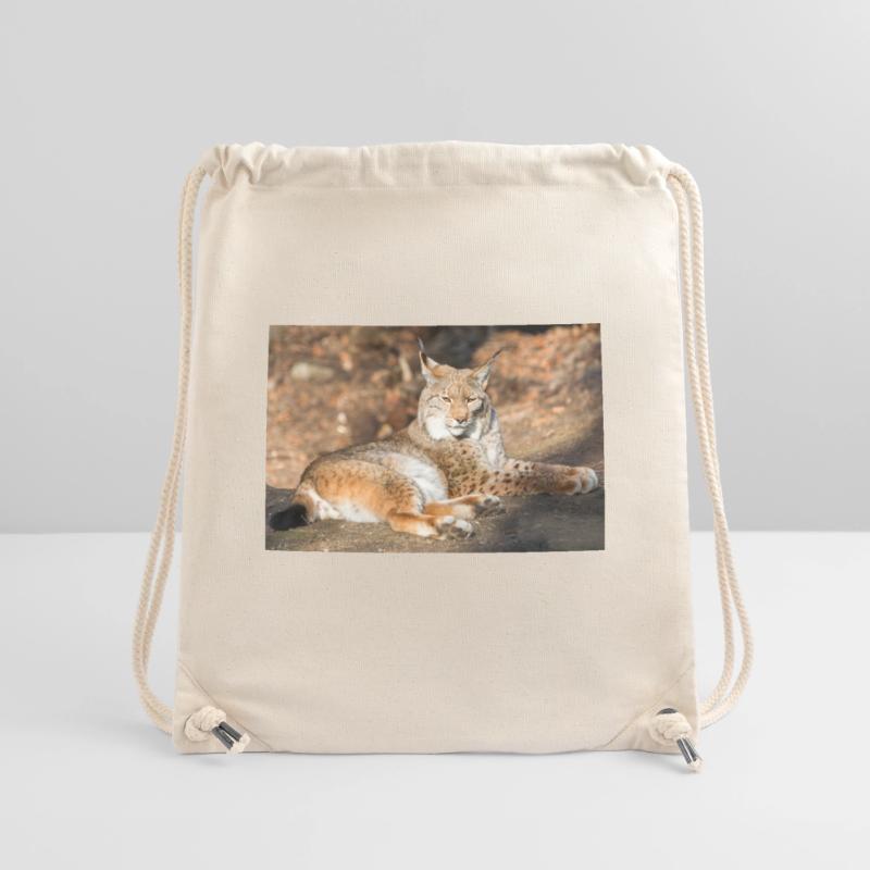 Eurasischer Luchs oder Nordluchs (Lynx lynx) Stanley/Stella recycelter Gym Bag