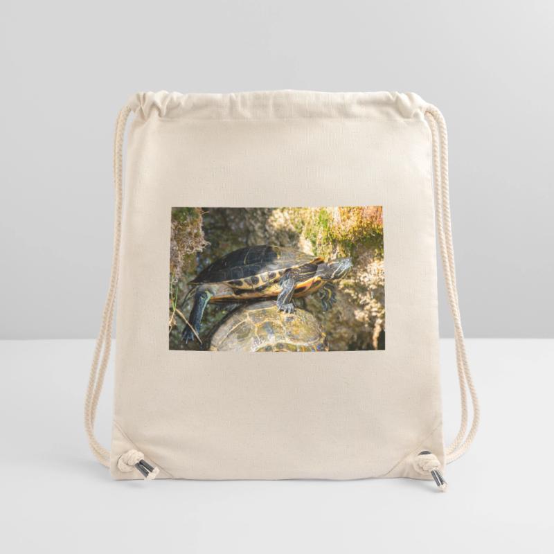 Yellow-bellied slider Trachemys scripta scripta Stanley/Stella Recycled Gym Bag
