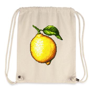 Pixel Lemons Retro Fruit Art - Stanley/Stella Recycled Gym Bag - natural - Front