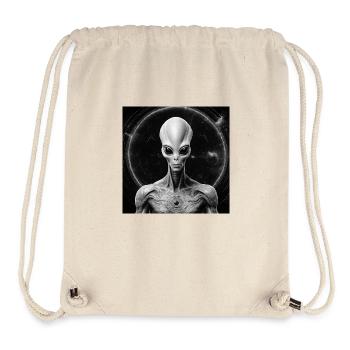 Astronomy Astrophysics Spirituality - Stanley/Stella Recycled Gym Bag - natural - Front