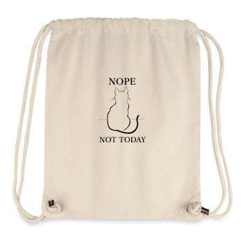 Moody Fed Up Cat - Nope, Not Today Kitty - Stanley/Stella Recycled Gym Bag - natural - Front