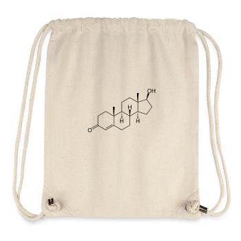 Testosterone - structural chemical formula - Stanley/Stella Recycled Gym Bag - natural - Front