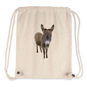 ass - Stanley/Stella Recycled Gym Bag - natural - Front