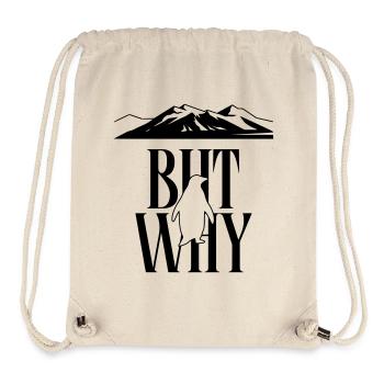 But Why Penguin Meme Minimalist Art - Stanley/Stella Recycled Gym Bag - natural - Front