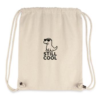 Stylish Dinosaur Sunglasses - Stanley/Stella Recycled Gym Bag - natural - Front