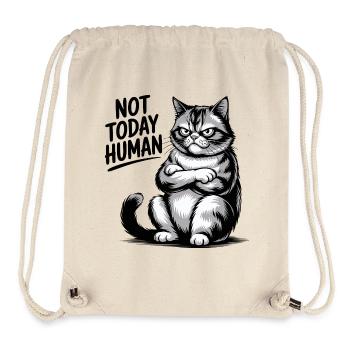 Not Today Human Cat - Stanley/Stella Recycled Gym Bag - natural - Front