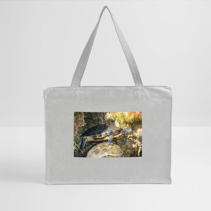 Trachemys scripta scripta scripta Cabas recyclé Stanley/Stella