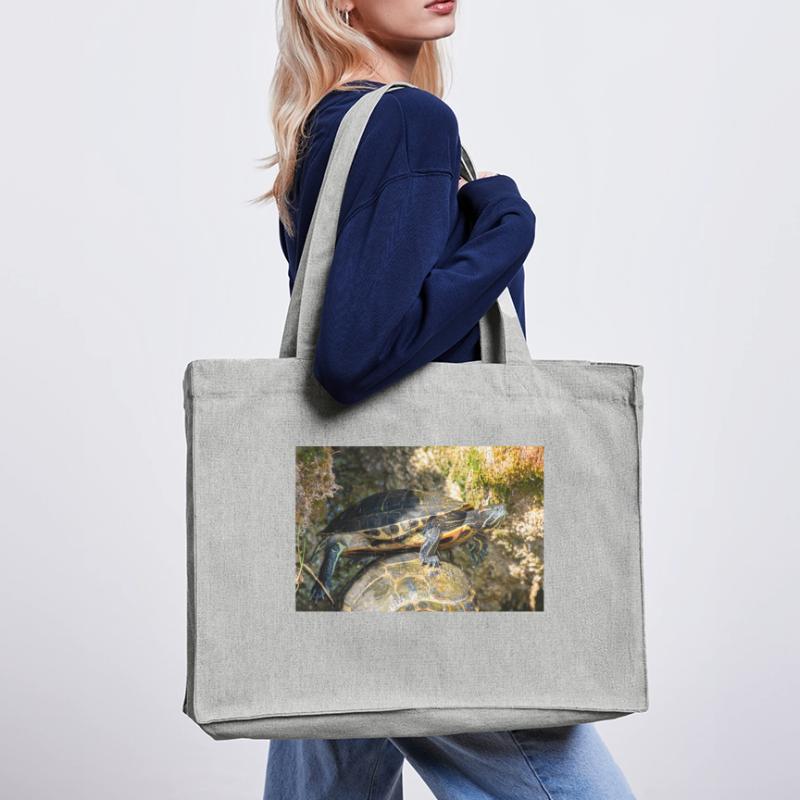 Trachemys scripta scripta scripta Cabas recyclé Stanley/Stella