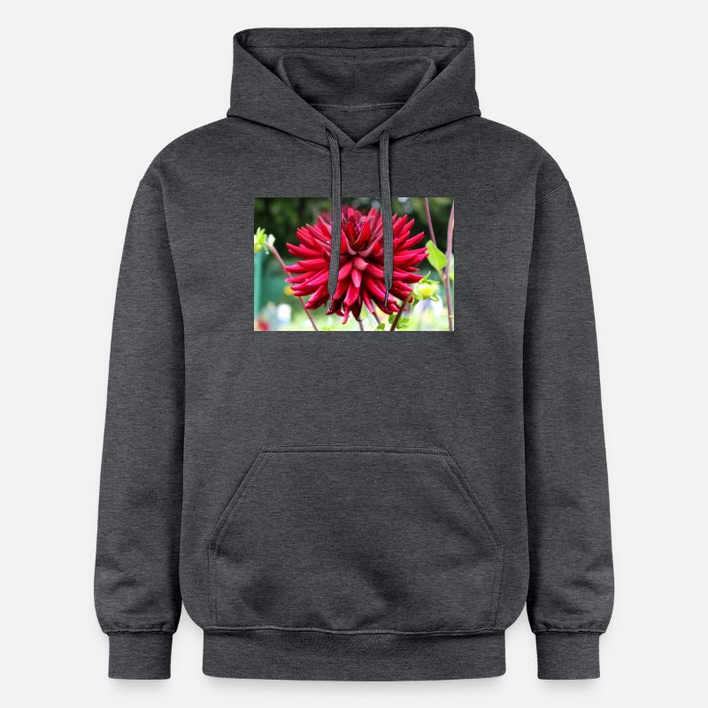 Dahlia Fleur Rouge, Fleur - Sweat à capuche Softstyle® Gildan Unisexe - gris foncé chiné