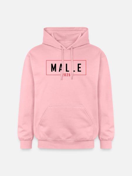 Malle 2025 - Gildan Unisex Softstyle® Midweight Hoodie - light pink
