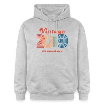Vintage 2019 edition - Gildan Unisex Softstyle® Midweight Hoodie - light heather grey - Front - Liana (172cm) & Jaron (178cm)