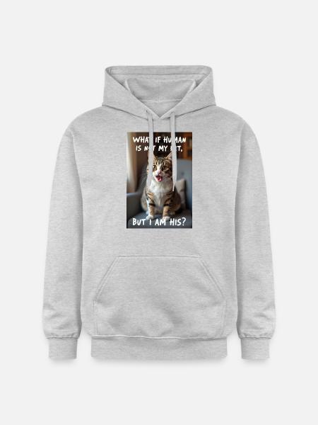 A cat with a funny caption. - Gildan Unisex Softstyle® Midweight Hoodie - light heather grey