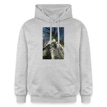 contre-plongée arbre, écorce grise - Sweat à capuche Softstyle® Gildan Unisexe - gris clair chiné - Devant - Liana (172cm) & Jaron (178cm)