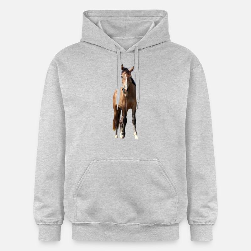 Chevaux T-shirt Cadeau Cavalier - Sweat à capuche Softstyle® Gildan Unisexe - gris clair chiné