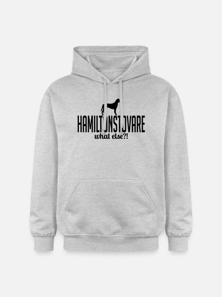 HAMILTONSTOVARE what else - Gildan Unisex Softstyle® Midweight Hoodie - light heather grey
