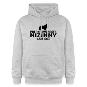POLSKI OWCZAREK NIZINNY what else - Gildan Unisex Softstyle® Midweight Hoodie - light heather grey - Front - Liana (172cm) & Jaron (178cm)