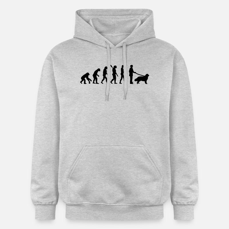 Evolution Newfoundland - Sweat à capuche Softstyle® Gildan Unisexe - gris clair chiné