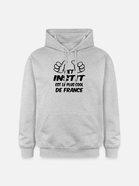 MEILLEUR INSTIT - Sweat à capuche Softstyle® Gildan Unisexe - gris clair chiné