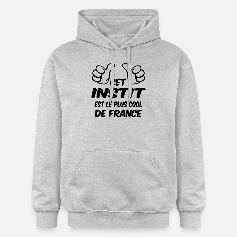 MEILLEUR INSTIT - Sweat à capuche Softstyle® Gildan Unisexe - gris clair chiné
