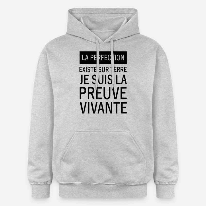 la perfection existe sur terre - Sweat à capuche Softstyle® Gildan Unisexe - gris clair chiné