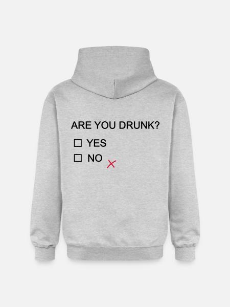 are you drunk? - Gildan Unisex Softstyle® Midweight Hoodie - light heather grey