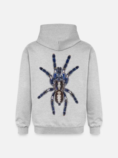 Poecilotheria - Gildan Unisex Softstyle® Midweight Hoodie - Hellgrau meliert