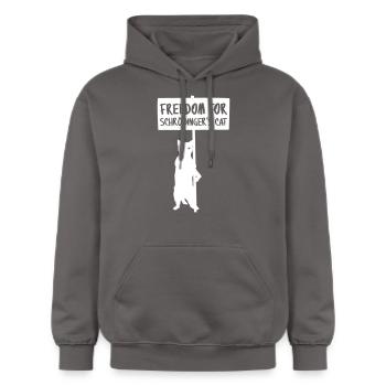 Schrödinger Katze - Gildan Unisex Softstyle® Midweight Hoodie - Dunkelgrau - Vorne - Marisol (170cm) & Nik (191cm)