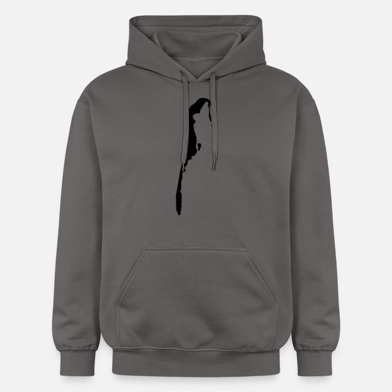 hiddensee2 - Sweat à capuche Softstyle® Gildan Unisexe - gris foncé