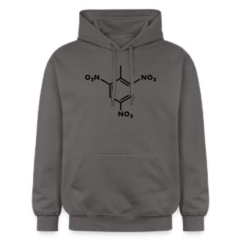 Molécule TNT - Sweat à capuche Softstyle® Gildan Unisexe - gris foncé - Devant - Marisol (170cm) & Nik (191cm)