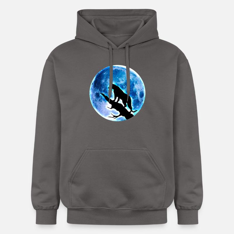 pleine lune - Sweat à capuche Softstyle® Gildan Unisexe - gris foncé