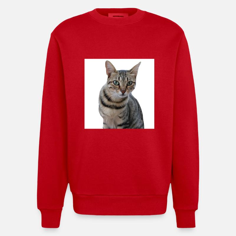 Chat chat chaton doux - Sweat bio épais oversize fabriqué en UE - rouge