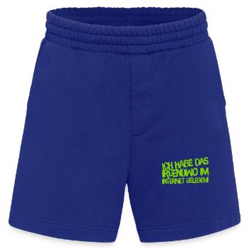 aus dem Internet - Heavyweight Shorts - made by SPREAD  - Iconic Blue - Vorne