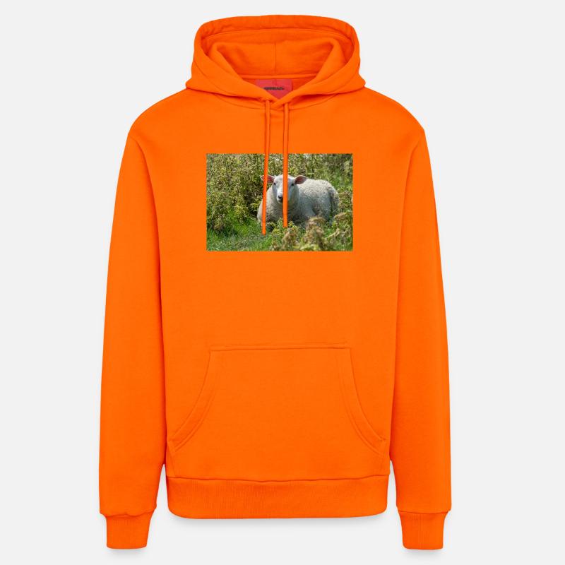 Moutons allongés dans l’herbe - Affiche - Sweat à capuche bio décontracté fabriqué en UE - SUNSET ORANGE