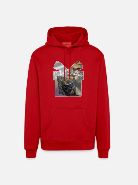 Du bist Wichtig - Organic Relaxed Hoodie Made in EU - Rot