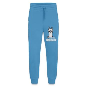 I Identify As A Probllama Cool Lama Problem Spruch - Jogging Pants - made by SPREAD  -  Sol Blue - Front