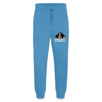 Bouvier bernois - Pantalon de jogging bio décontracté fabriqué en UE -  Sol Blue - Devant