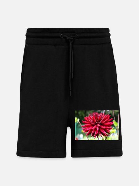 Dahlia Red Blossom ,Flower - Shorts - made by SPREAD - SOLID BLACK
