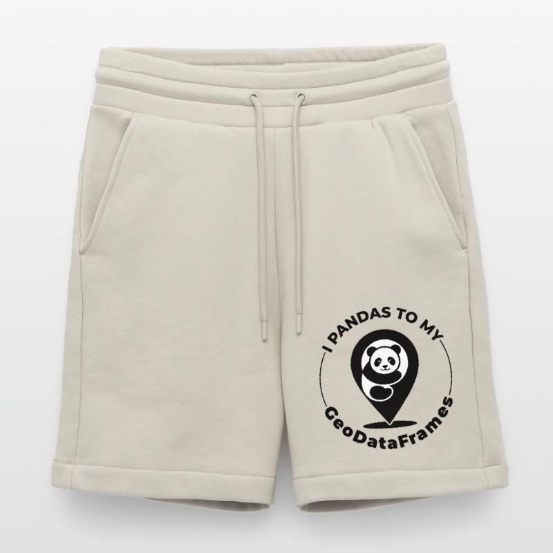 GeoDataFrames Pandas GIS Python Programming Shorts - made by SPREAD