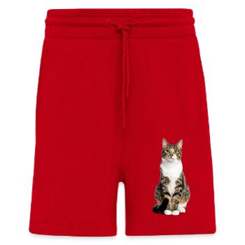 Mixed Tiger Cat - Good Pet Edition - Shorts - made by SPREAD - Rot - Vorne