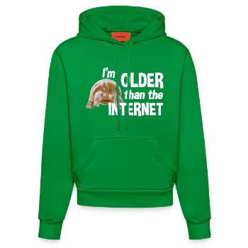 I'm older than the Internet - Turtle - Organic Fitted Hoodie Made in EU - City Green - Front