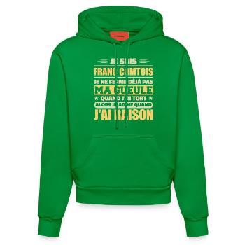 Franc comtois I don't shut my mouth frank comté - Organic Fitted Hoodie Made in EU - City Green - Front