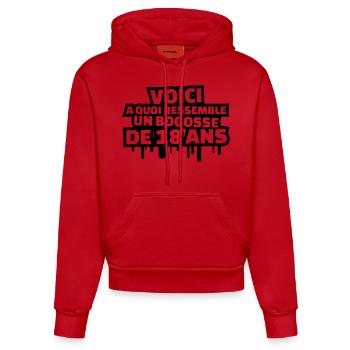 voici a quoi ressemble un bogosse de 18 ans - Sweat à capuche bio ajusté fabriqué en UE - rouge - Devant