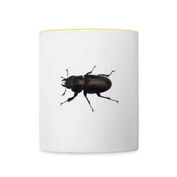 Hirschkäfer Weibchen - Tasse zweifarbig - Weiß/Gelb - Vorne